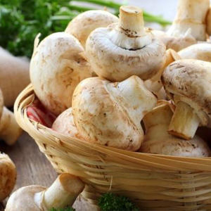 Categoria Culinária Japonesa